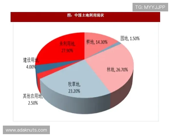 探讨J9九游旗舰厅客户端的未来发展趋势与前景