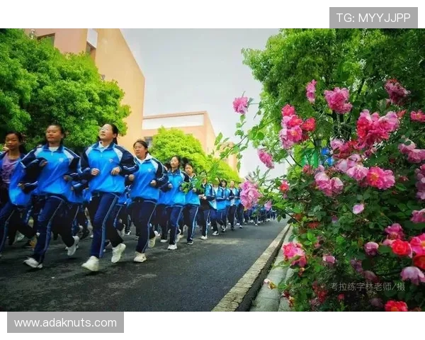 J9国际:创新教育模式推动国际交流合作,打造具有国际竞争力的优质教育品牌